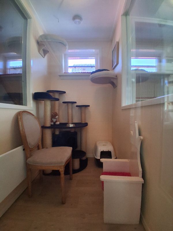 De kleinere aparte kamer met krabpaal en eigen kattenbak