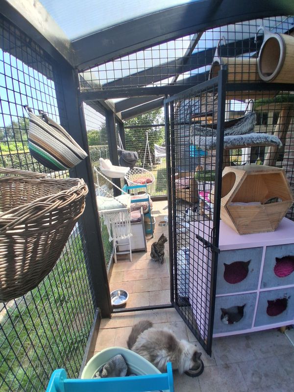 Hangmatten, manden en kattenhuisjes in de buitenren